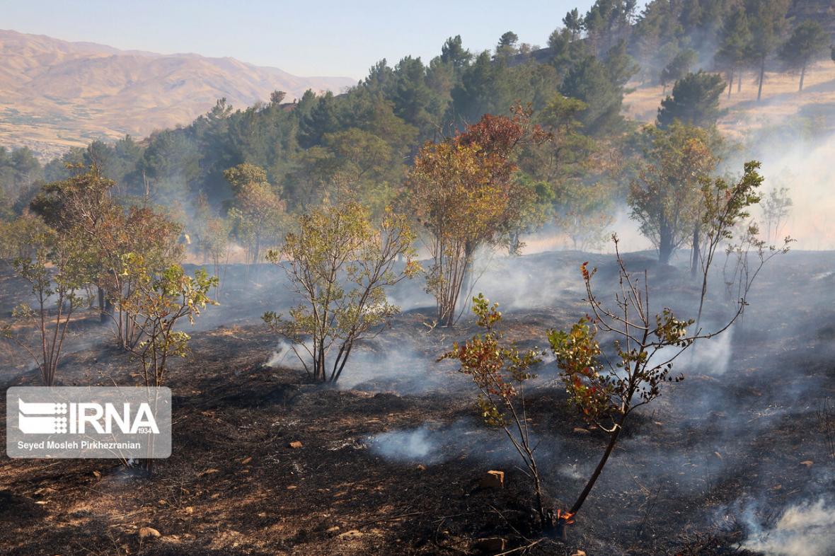 خبرنگاران آتش سوزی در ارتفاعات گچساران ادامه دارد