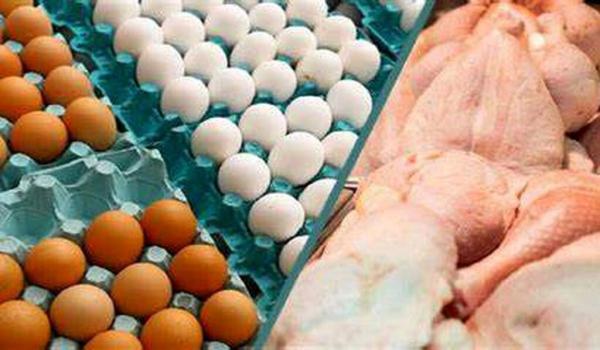 آخرین قیمت مرغ و تخم مرغ در میادین ، هر کیلو مرغ کامل و تفکیک شده چند؟